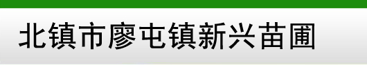 北镇市廖屯镇新兴苗圃